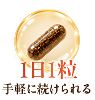 1日1粒 手軽に続けられる