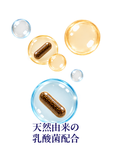 天然由来の乳酸菌配合
