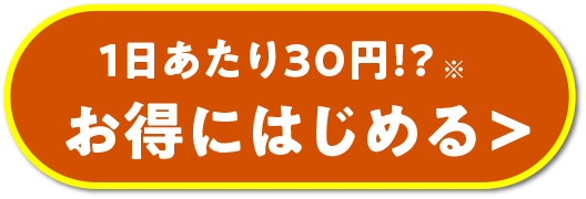1日あたり30円!? お得にはじめる